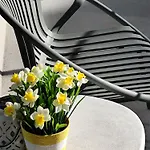 Waterfront * ניופורט
