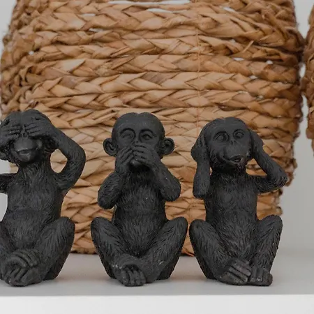 Waterfront * Nieuwpoort