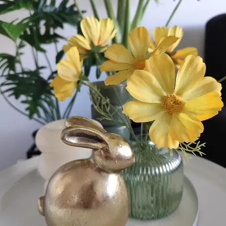 Waterfront * Nieuwpoort